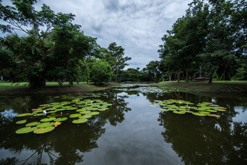 Fototapeta premium lake in the park near Hua Hin