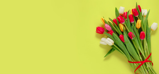 Lovely tulip flowers composition. Beautiful tulips, colored tulips.