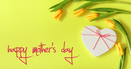 Lovely tulip flowers composition. Beautiful tulips, colored tulips.