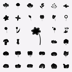 daffodil icon. Plants icons universal set for web and mobile