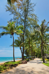 Obraz na płótnie Canvas Tropical beach in sunny day