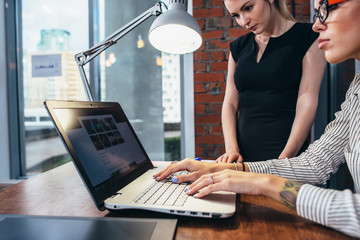 Female interior designer working with a customer watching pictures using laptop sitting at modern...
