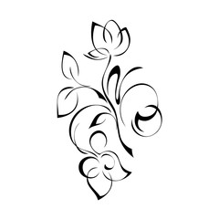 decorative floral ornament with flowers and leaves in black lines on white background