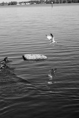 Prepare for take off