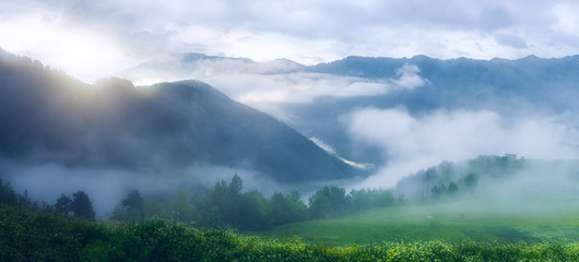 Beautiful panoramic view of forest mountain range in fog.