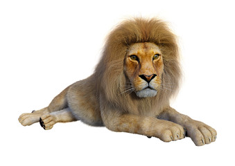 3D Rendering Male Lion on White
