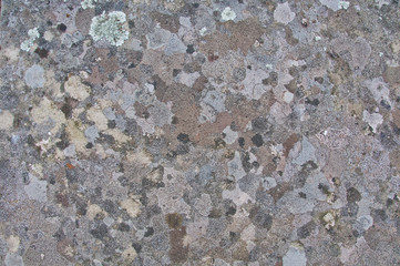 Abstract backgroud of random pattern grey granite stones