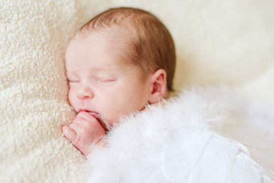 sleeping   newborn with wings
