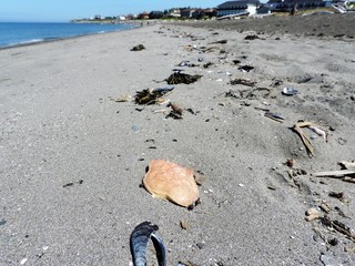 bord de mer a Matane