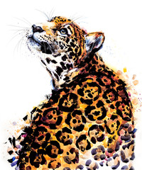 juguar. tropical wild cat watercolor illustration. Brazilian wildlife fauna. jungle nature