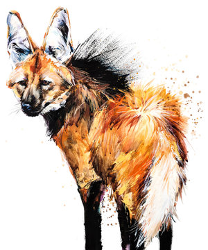 Guara wolf. Mane Wolf. tropical animal watercolor illustration. Brazilian wildlife fauna. wild nature