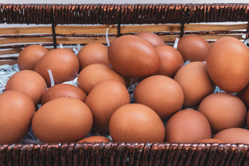 Fresh eggs on paper scraps prevent shock.