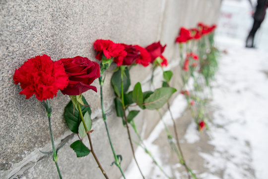 Memory of the dead. Red carnations on a gravestone