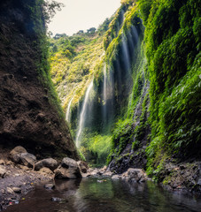 Beautiful Madakaripura waterfall flowing in green valley