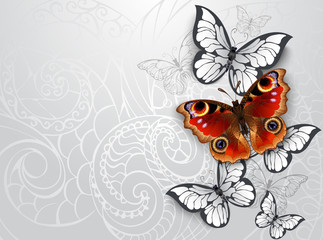 Obraz na płótnie Canvas gray background with peacock butterfly