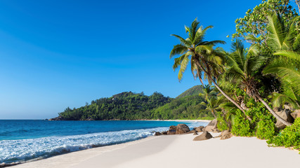 Panorama of sandy beach with beautiful rocks, coco palms and turquoise sea on Seychelles island. 