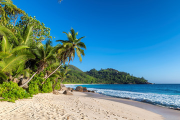 Sandy beach with palm trees on exotic tropical island.  Summer vacation and travel concept.  