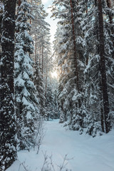 Fototapety na wymiar - Fototapeta24.pl