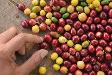 close up of  fresh coffee beans for background