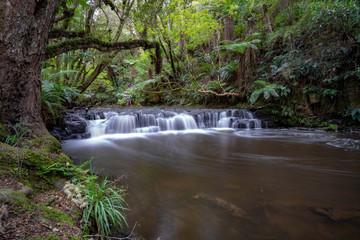 waterfall in forest