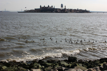 ellis island