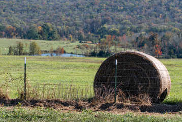Round hay bale behind barbed wire fence