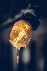 Obraz na płótnie Canvas Frozen lit light bulb