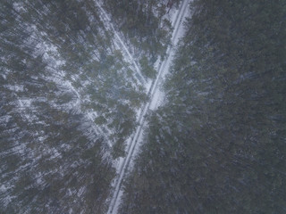 Waldweg im Winter
