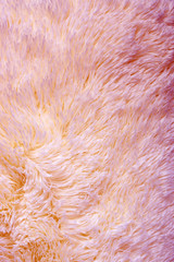 Pink colored fluffy fake fur texture