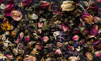 Floral background poster. Healing herbs and flowers background, top view