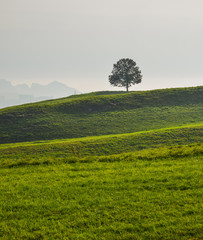 Rural scenery of Luzern, Switzerland