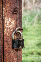 The old padlock hangs on a column of an iron fencing