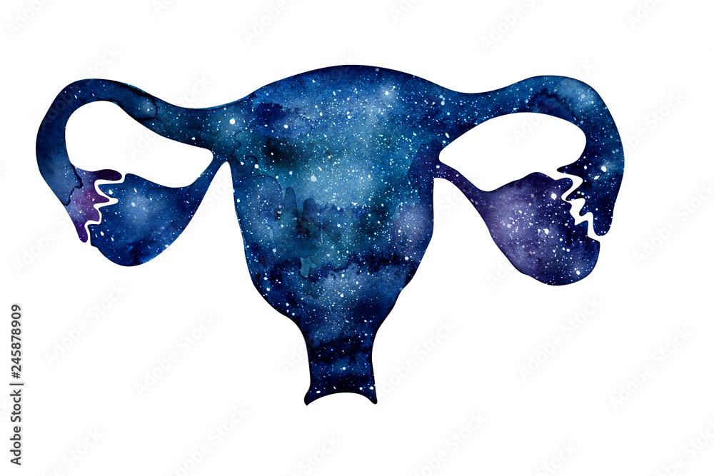 Wall mural Woman reproductive system galaxy effect