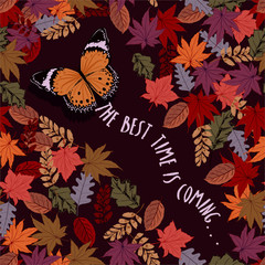 Autumn mood with Butterfly flying through the  leaves with wording "the best time is coming " seamless pattern vector