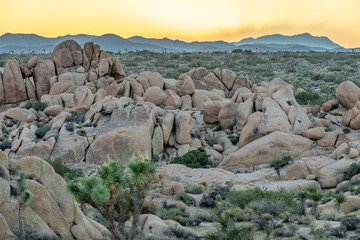 Sunset Lanscape overlooking Joshua Tree Natinal Park