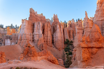 Pictures of Navajo Loop Trail