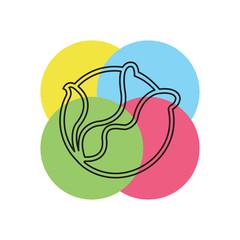 vector cabbage or lettuce illustration isolated