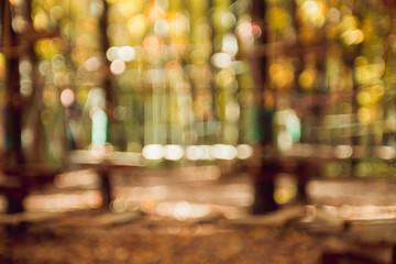Autumnal park. Blurred background. Bright colorful bokeh.