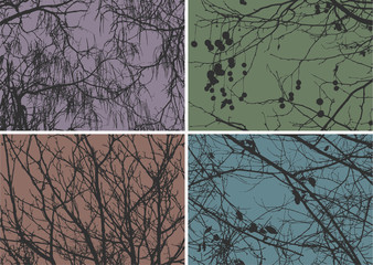Backgrounds of nature. Set of silhouettes of different trees for your design. Vector illustration