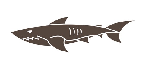 Fototapeta premium Shark swim cartoon graphic vector.