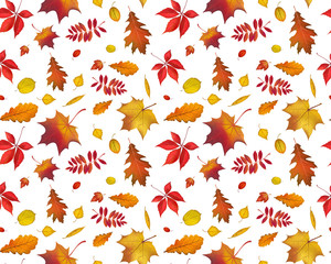 Bright flying autumn leaves seamless pattern isolated on white background. Horizontal nature illustration for your fall design