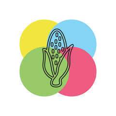 vector sweet corn illustration isolated