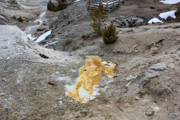 yellowstone