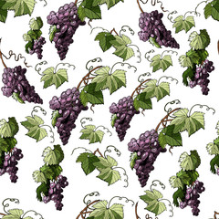 Seamless pattern with twig of violet grape and  leaves isolated on white background.
