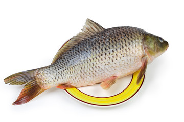 Raw carp prepared for cooking on dish close-up