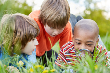 Kinder als Forscher mit Lupe betrachten eine Blume