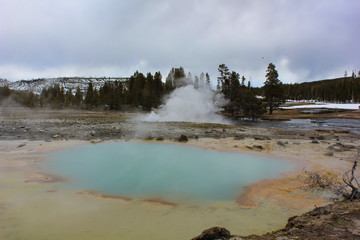 geyser erupting behind a hot spring