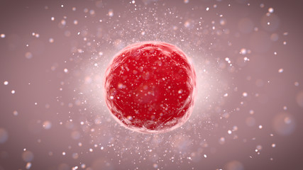 Flesh Cell And Growth