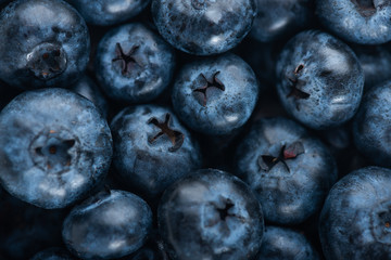 Fresh blueberry background. Texture blueberry berries close up