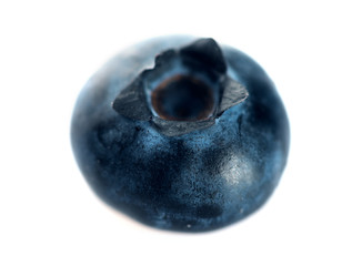 Blueberry. Fresh berries
